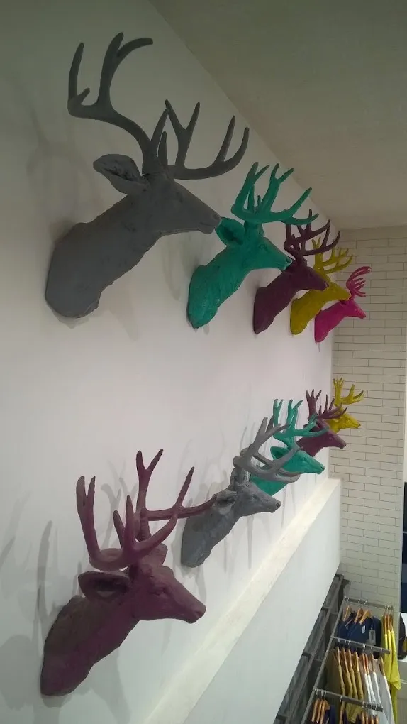 Allen Solly Store - 4