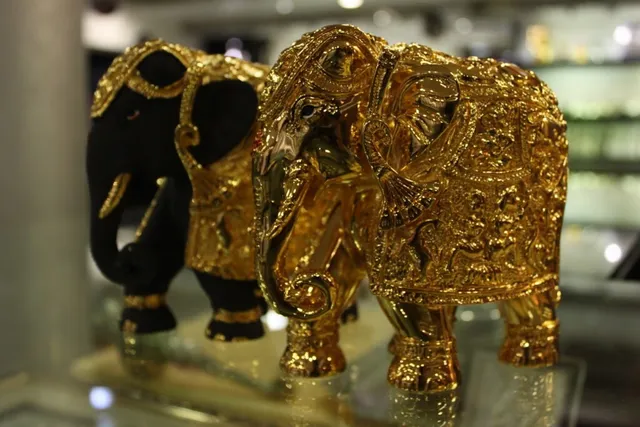 PNG Jewellers - Camp - 5