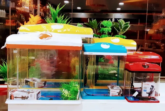 PETS MAGIC AQUARIUM & PET SHOP/ BEST PETS SHOP IN PCMC/ BEST AQUARIUM SHOP IN PCMC - 2