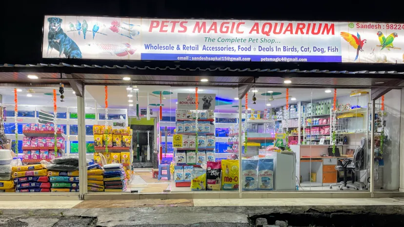 PETS MAGIC AQUARIUM & PET SHOP/ BEST PETS SHOP IN PCMC/ BEST AQUARIUM SHOP IN PCMC