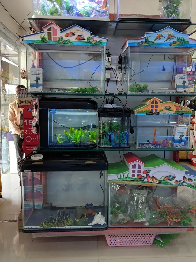 Jiya Pet Shop 2 - 4
