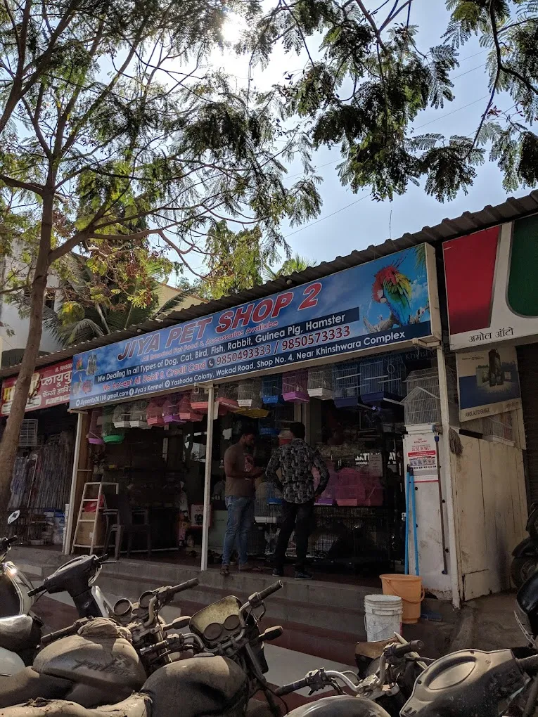 Jiya Pet Shop 2