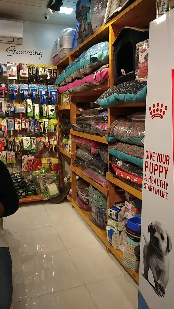 PET LOVERS PET SHOP - 5