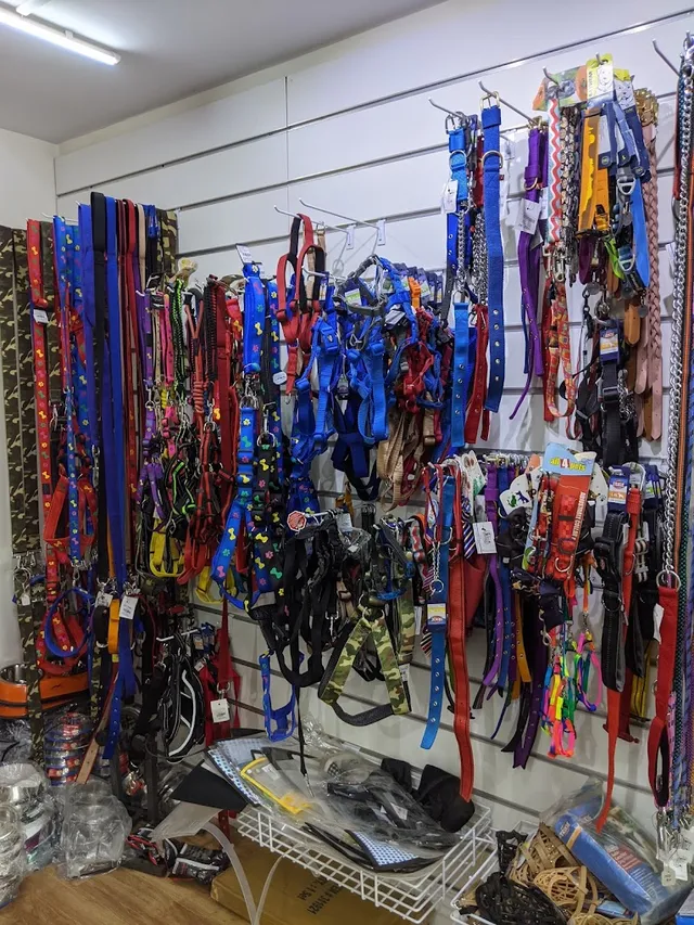 Petville Pet Shop - 2