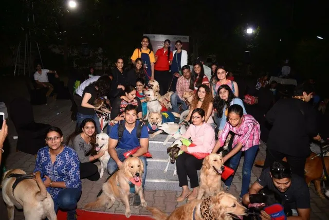 Petville Pet Shop - 5