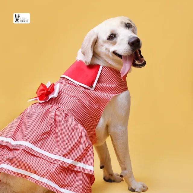 Just Dogs | Aundh, Pune - 2