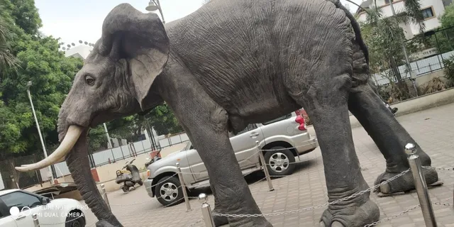 Corporation Swimming Pool and Gym - 5