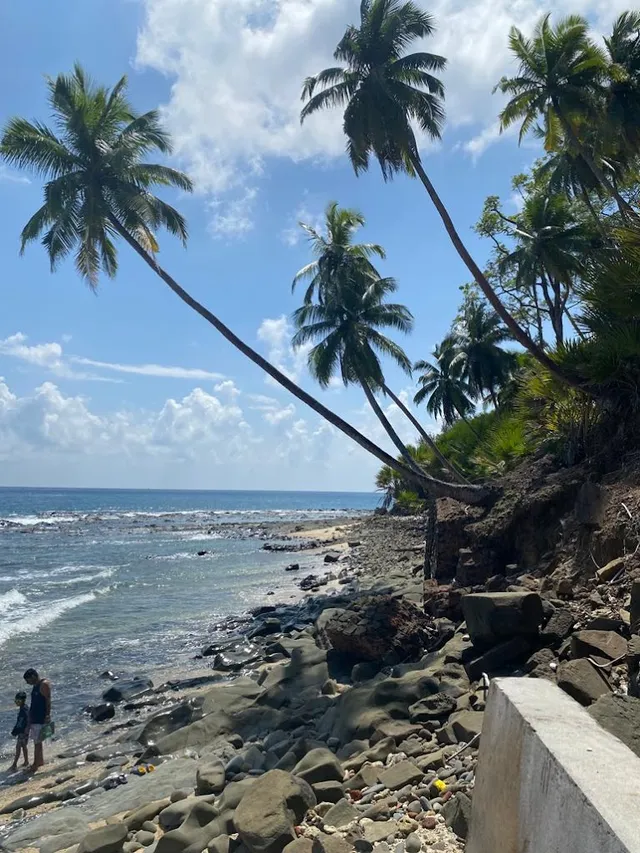 Travonika Tours and Travel - 4