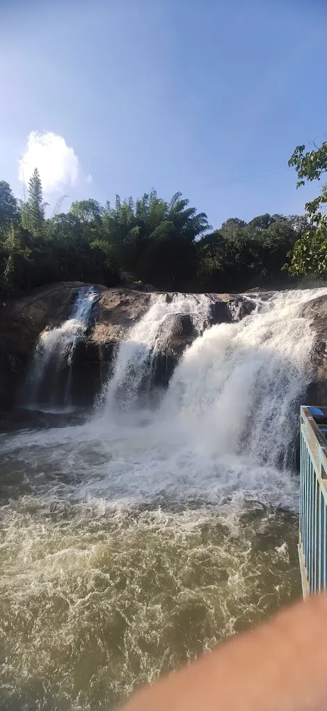 Swayam Tours & Travels - Best Car rental in Pune - 4