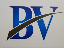 Blue Venture Consultancy Services