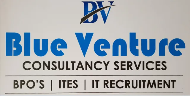 Blue Venture Consultancy Services - 3