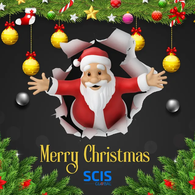 SCIS Global (Formerly SOUL Foundation) - Placement Consultancy for IT Jobs - 5