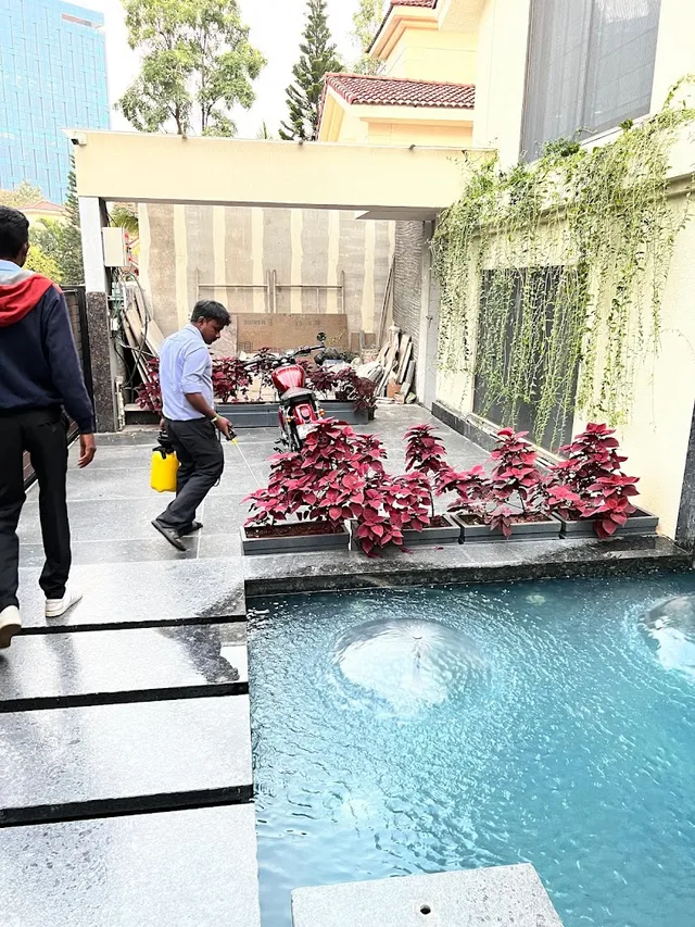 PestEon Services | Pest Control and Termite Control Services - 2