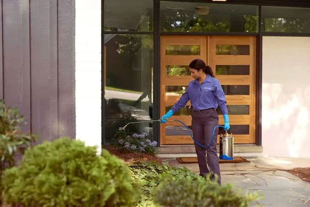 PestEon Services | Pest Control and Termite Control Services - 4