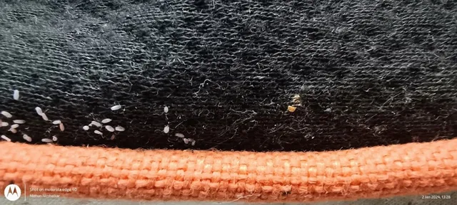 Sainet Facilities - 3