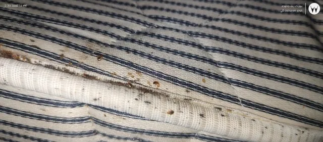 Sainet Facilities - 4