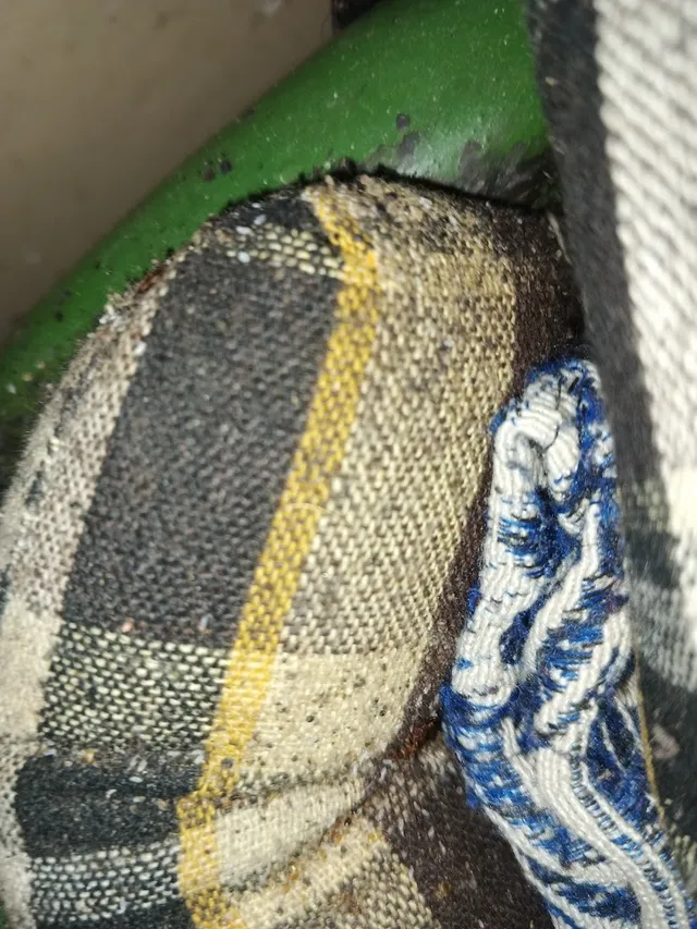 Master Pest Control Services - 6