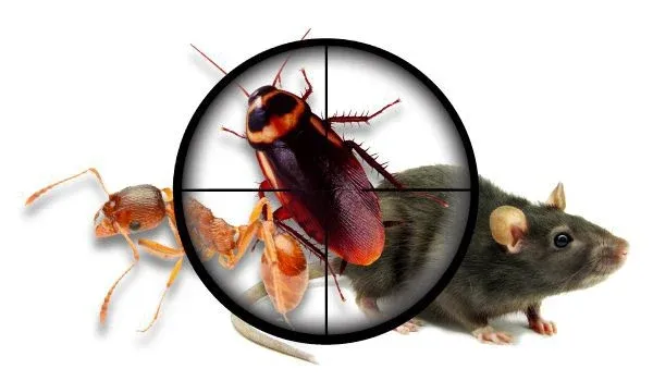 HOMEZGUARD PEST MANAGEMENT LLP - 2