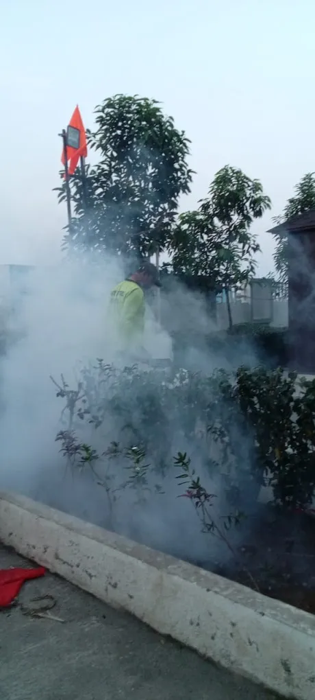 GLOBAL PEST CONTROL - 3