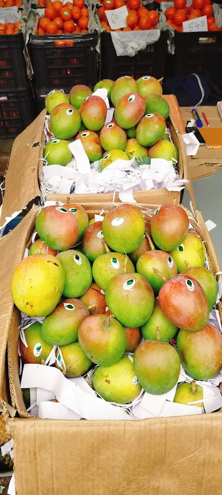 Delhi Juice Station & Ice Cream Milk Shakes - 4