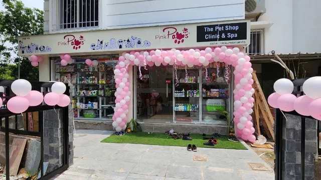 Pink Paws Newtown - Pet Grooming Services in Newtown - 5