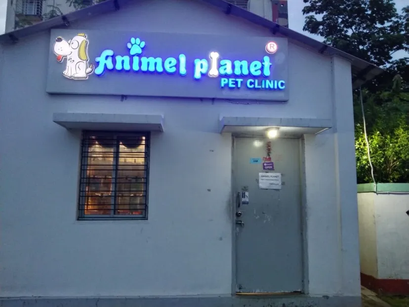 Animel Planet