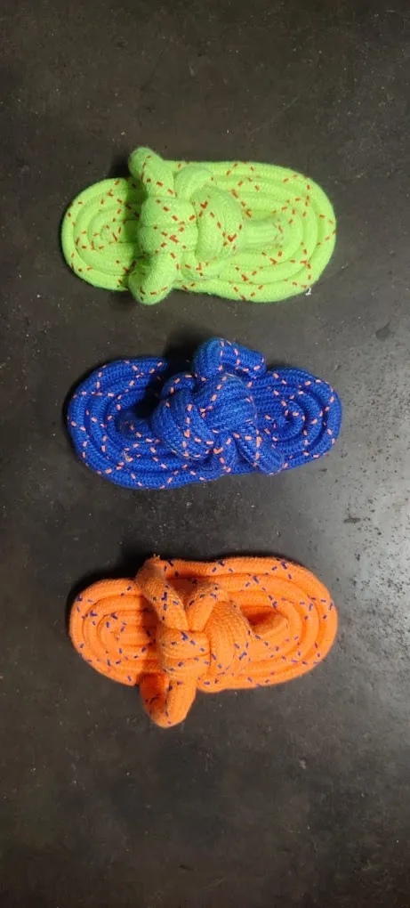 All About Animals A3 - 3