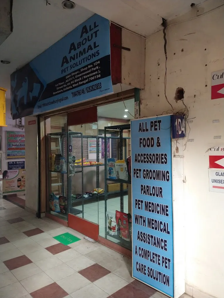 All About Animals A3