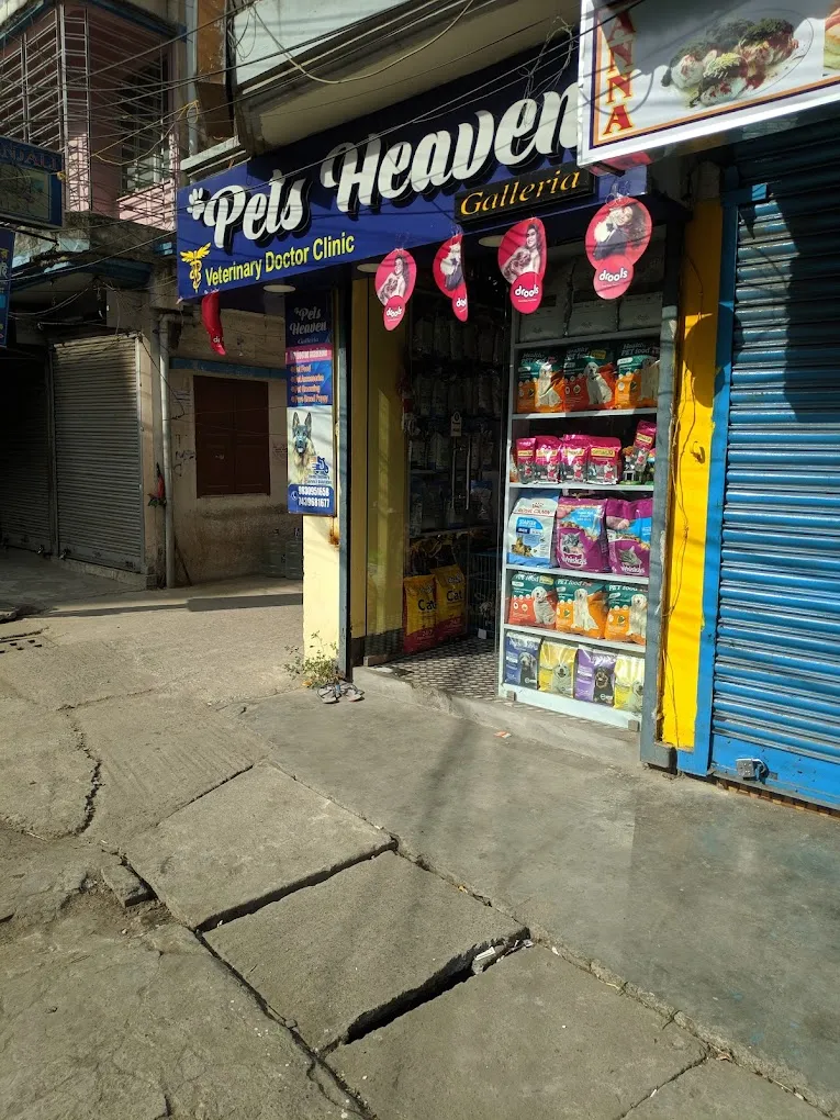 PETS HEAVEN GALLERIA, KESTOPUR