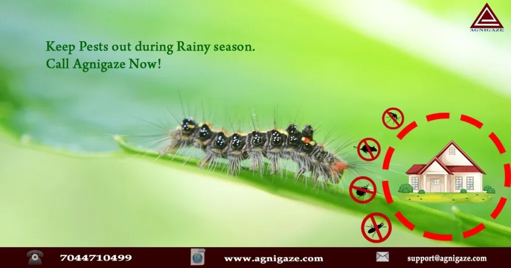 Agnigaze India Services Private Limited