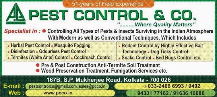 Pest Control & Co