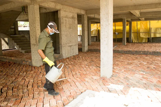 Pest Control & Co - 2