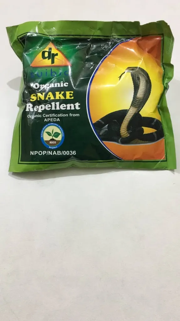 Creative pest control service - 3