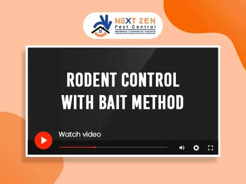 Next Zen Pest Control Pvt Ltd - Pest Control in Kolkata - 3