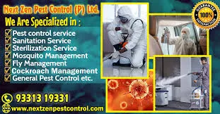 Next Zen Pest Control Pvt Ltd - Pest Control in Kolkata