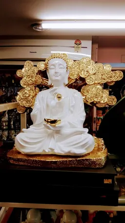 Campus gift shop - 4