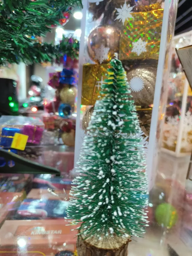 Saurashtra Cloth Stores - 2