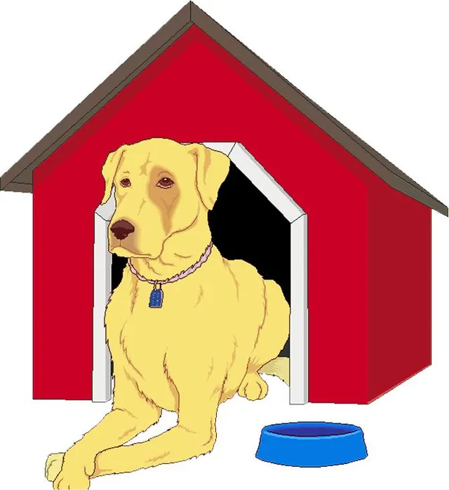 PET HUT, Golden Nugget Building, Mallikatte - 4
