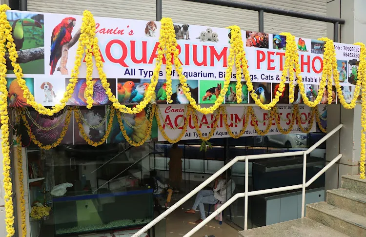 Canin's Aquarium & Pet Shop,Bejai Museum Road