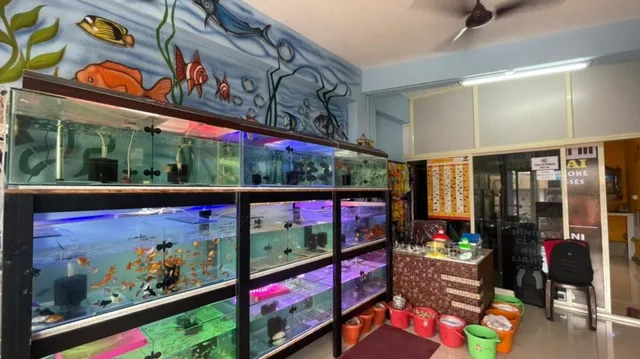 Shri Sai Aquarium and Pet Shop - 4