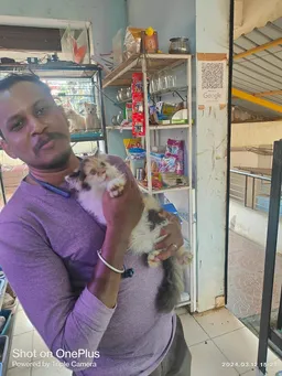 Sai Fish Fantasy - 3