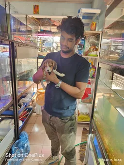 Sai Fish Fantasy - 5