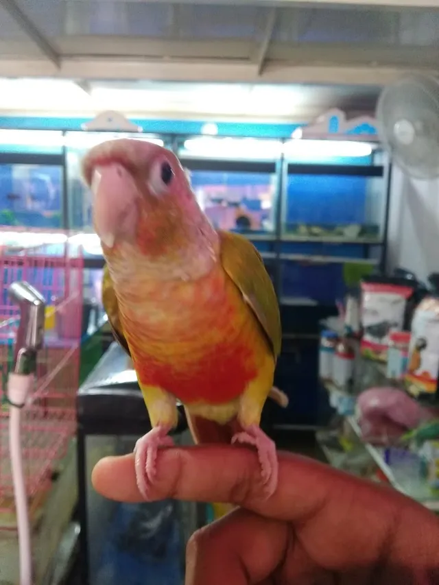 Royal Aqua Centre - 3