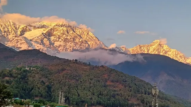 Vikram Travels & Resorts India Pvt Ltd - 3