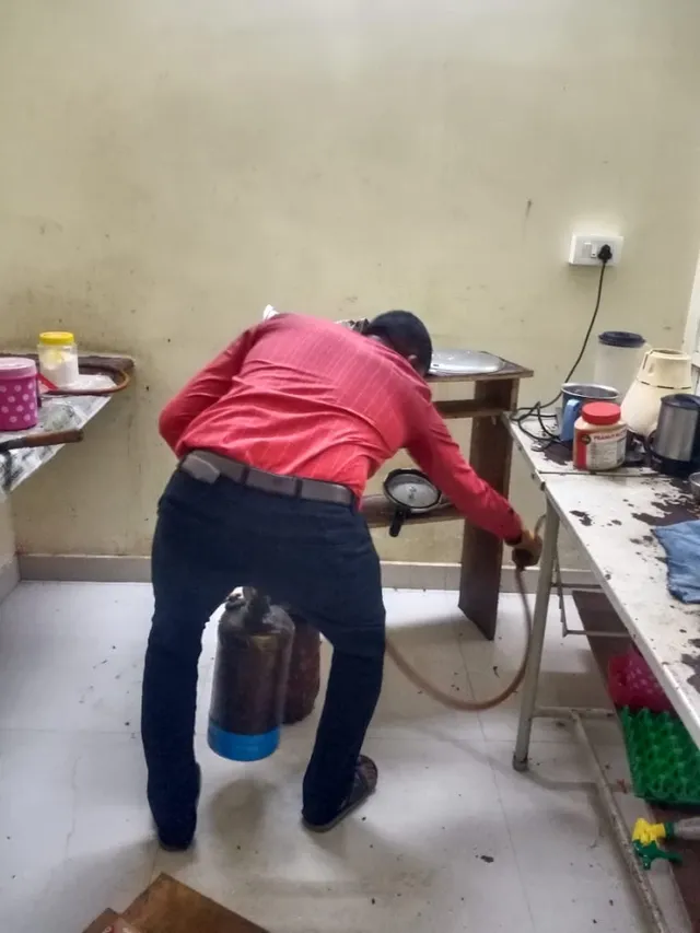 City Pest Control - Mangalore - 3