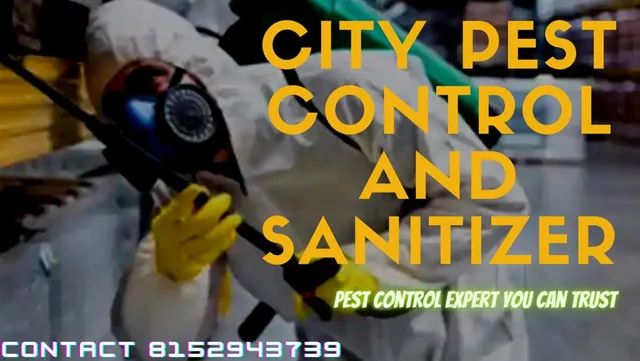 City Pest Control - Mangalore - 5