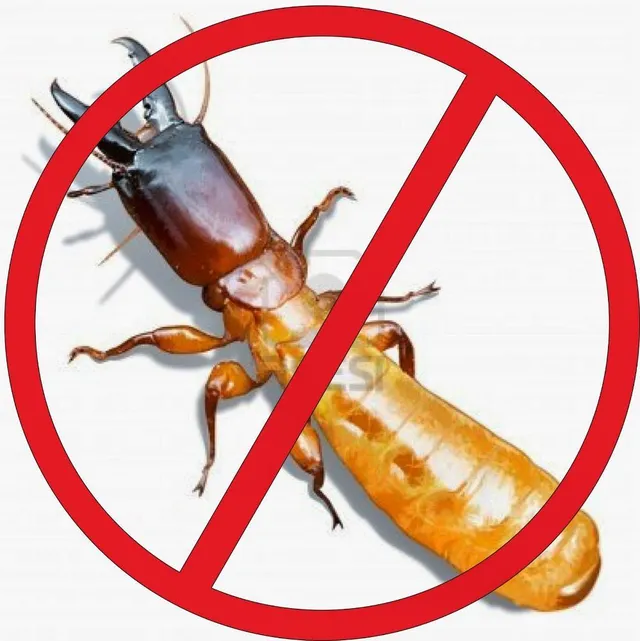 PML Pestman Private Limited - 4