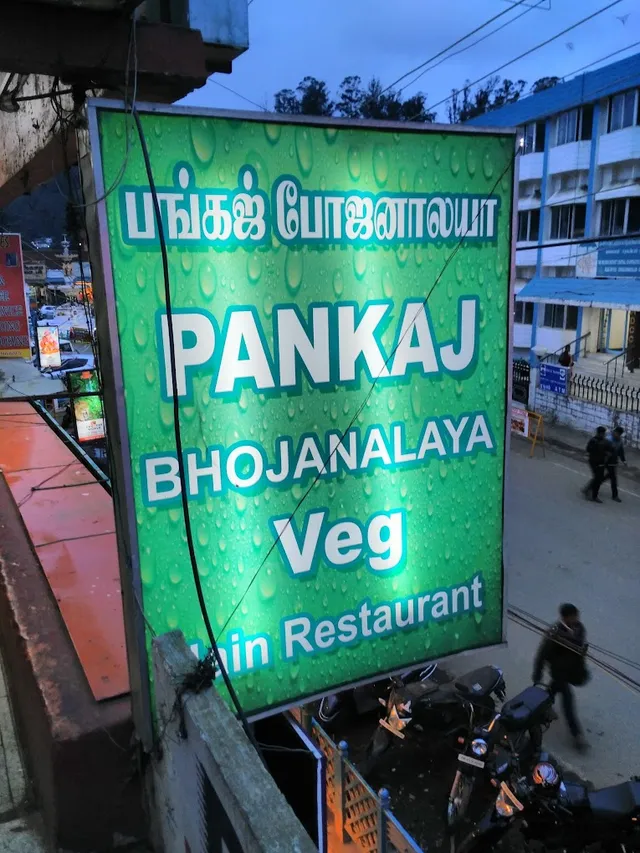 Pankaj Bhojanalaya(Pure veg & Jain food) - 2