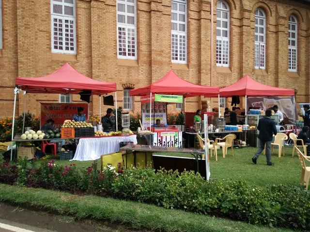 Gem Fruits And Vegetables - 5