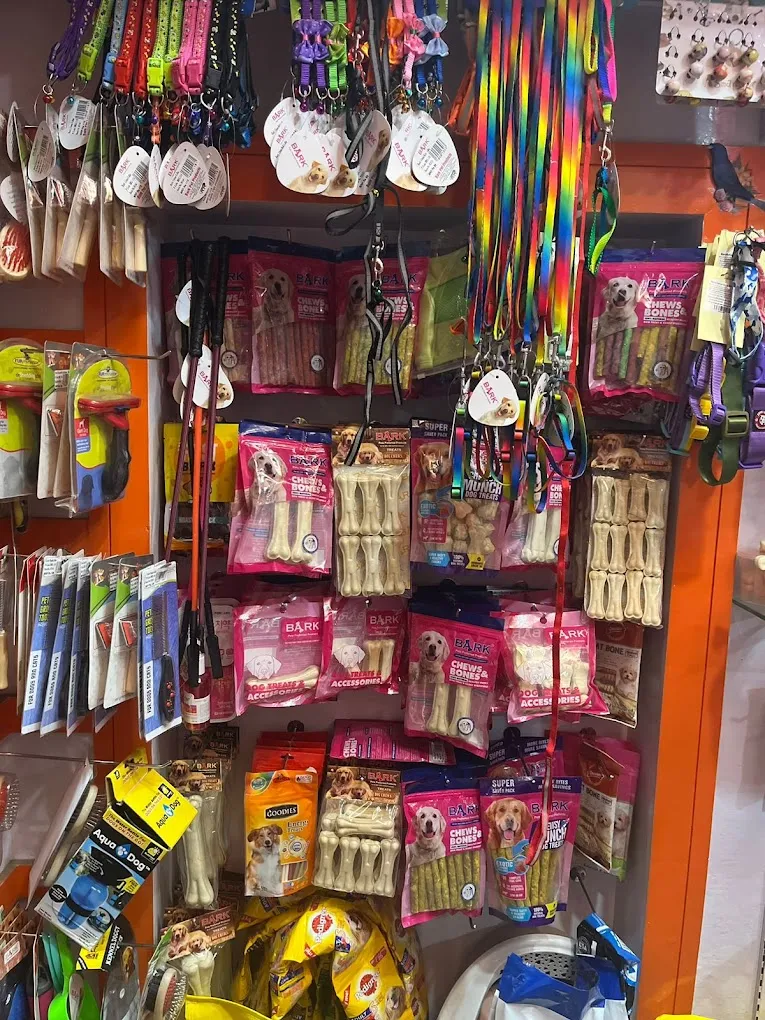 Paezhai pet clinic ooty